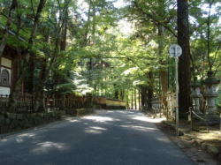 2007/10/31Ɏʂ