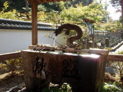 2007/10/31Ɏʂ̂łB