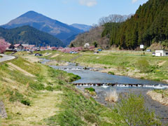 2016/4/11　新庄川