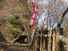 美しい秋の紅葉が見られる
