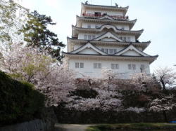 2010/4/4 福山城 北面