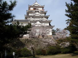 2010/4/4 福山城 東面