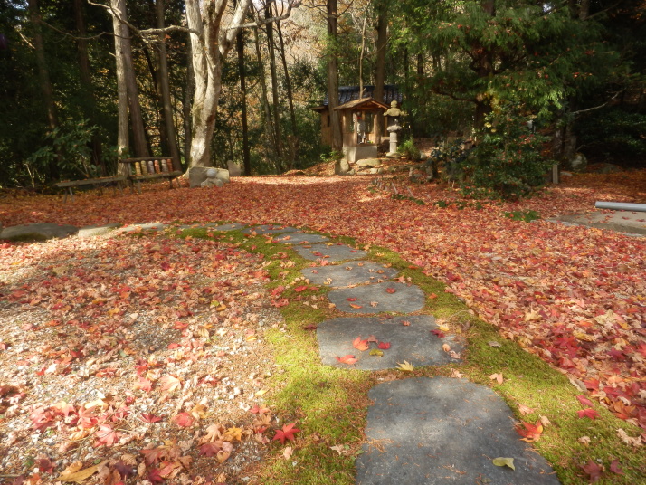 紅葉のジュウタン