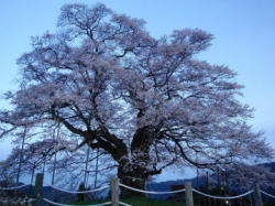 2010/4/8@18:32@erǂ̃CgAbvꂽ