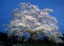 2010/4/8 CgAbvzCgu[ɂȂ