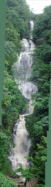 2003/7/15 突然の雷雨に見舞われ、大雨の濁った水が轟音を立てて流れ落ち心洗われる思いがしました。