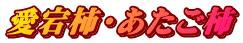 `E`