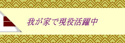 䂪ƂŌ