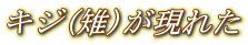 キジ(雉)が現れた