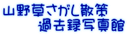 R쑐U       ߋ^ʐ^