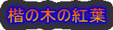 ̖؂̍gt