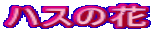 nX̉