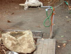 2008/1